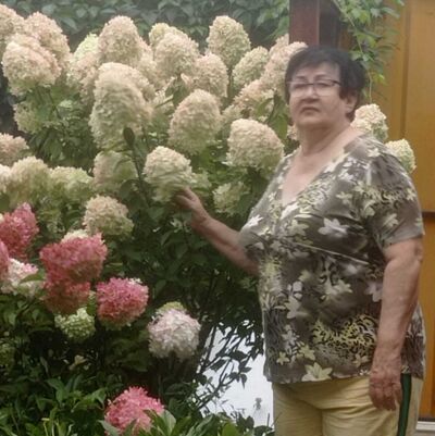  ,   , 60 ,   