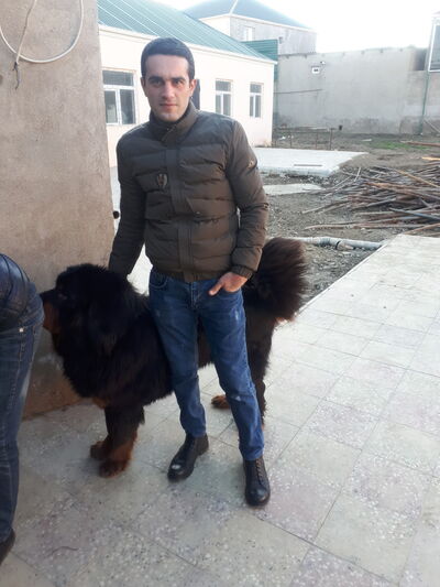  ,   Elnur, 38 ,   ,   , c 
