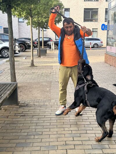  Neumunster,   Meik, 42 ,   ,   , c 