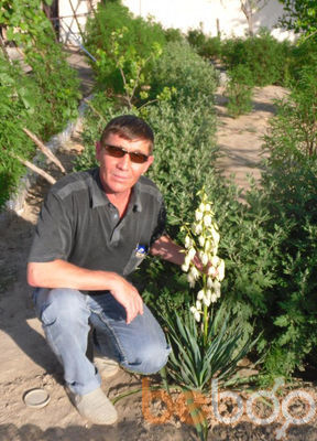 ,   Shama, 55 ,   