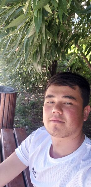  ,   MUXTOR, 29 ,   ,   