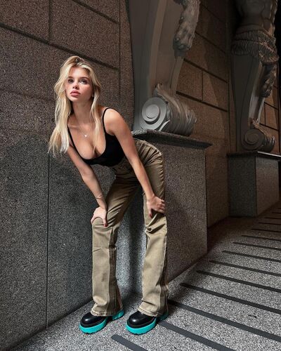  ,   Rozavirt T, 24 ,   ,   