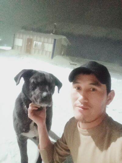   ,   Kamil, 31 ,   ,   