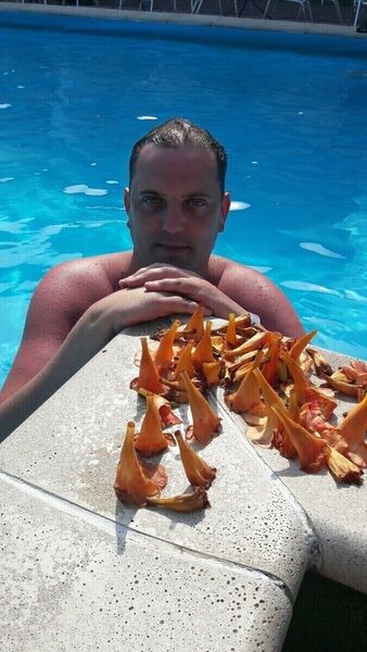  ,   , 43 ,   