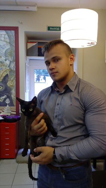  -,   , 33 ,   ,   , c 