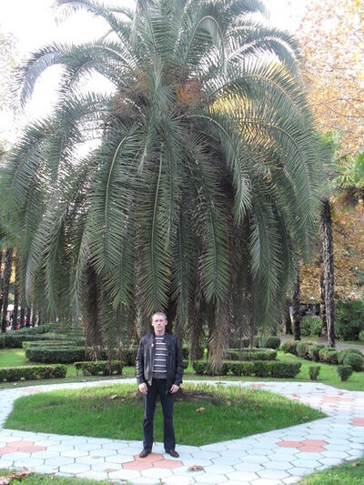  ,   Alex, 44 ,   ,   , c , 