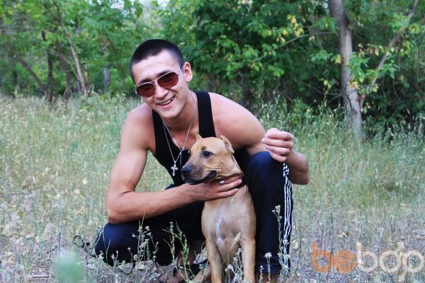 ���������� ��������, ���� ������� Maestro, 34 ����, ������������ ��� ������, ����� � ���������, c�������� ���������