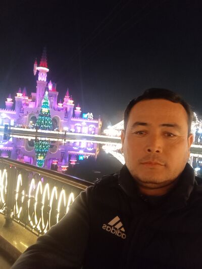  ,   Bobomur, 41 ,   ,   