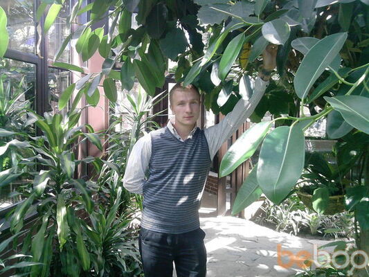  ,   Solomon, 37 ,   ,   , c 
