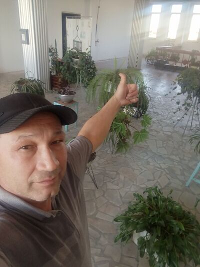  ,   Bek, 51 ,   ,   