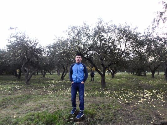  -,   , 33 ,   ,   , c 