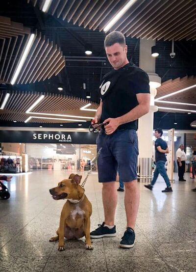  -,   Pavel, 36 ,   ,   