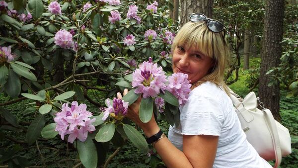  ,   , 49 ,   ,   , c , 