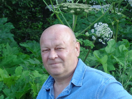  ,   , 55 ,  