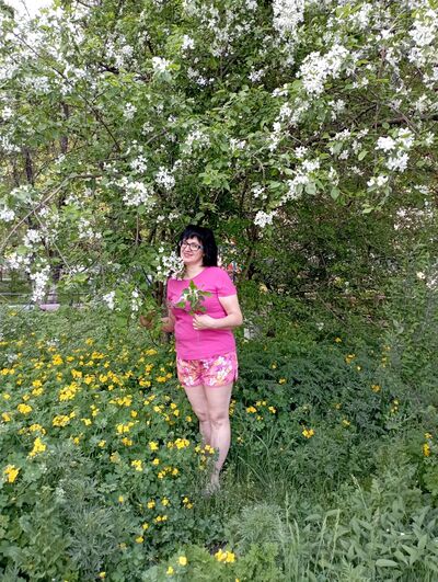  ,   , 51 ,   ,   