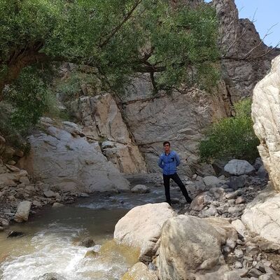  ,   Mohammad, 38 ,   ,   , c 