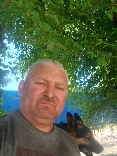  ,   Denis, 44 ,   ,   , c 