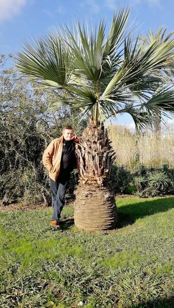  Bielany Wroclawskie,   Piotr, 56 ,   ,   , c 