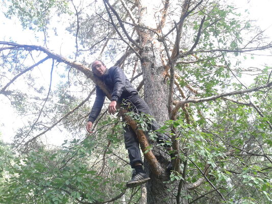  ,   Pavel, 41 ,  