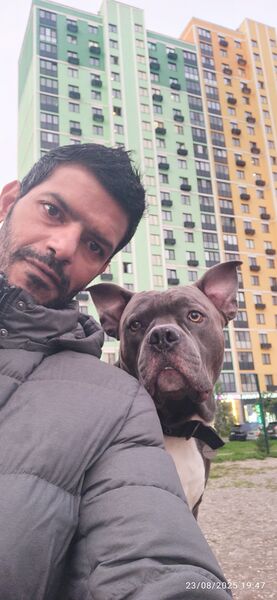  ,   Sayed, 42 ,   ,   , c , 