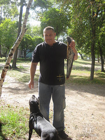  ,   Iks, 48 ,   , 