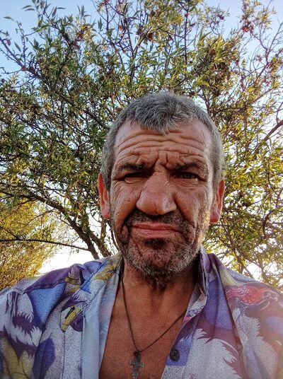  ,   Ser, 55 ,   ,   