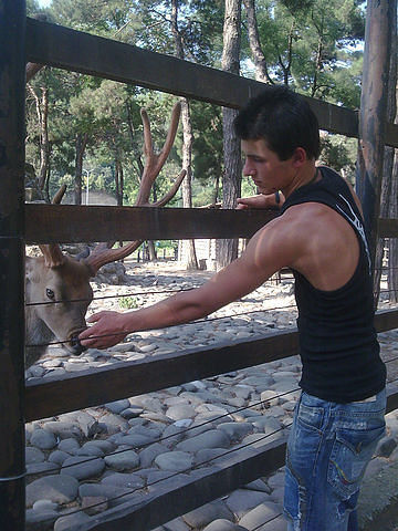  6367869  Avtandil, 32 ,    