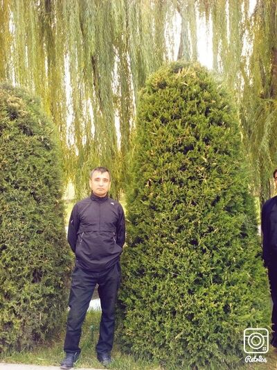  ,   Asror, 37 ,     , c 