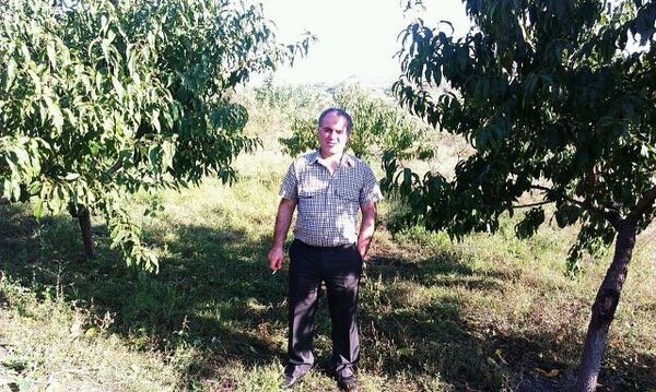  ,   Sheykh, 56 ,   ,   , c 