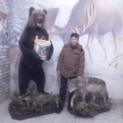 ,   Musa, 39 ,   ,   