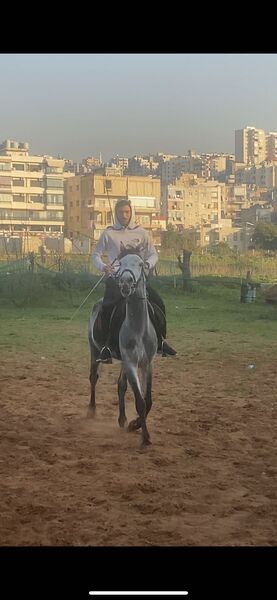  Beirut,   Hadi, 22 ,   ,   , c 