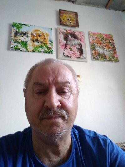  ,   , 62 ,   ,   