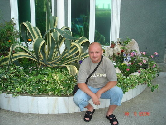  ,   , 46 ,   