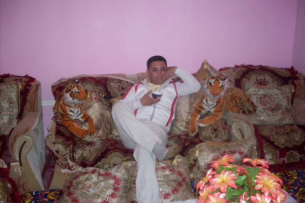  ,   Valsher, 51 ,   