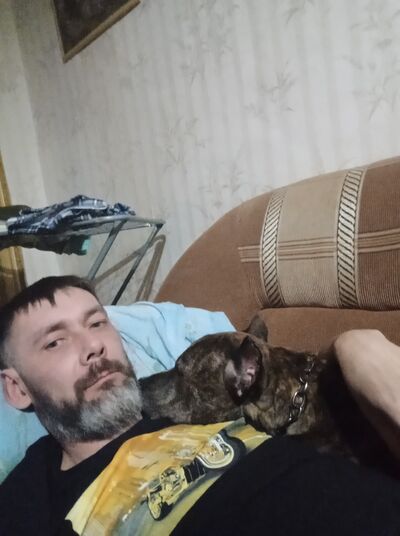   ,   , 41 ,   