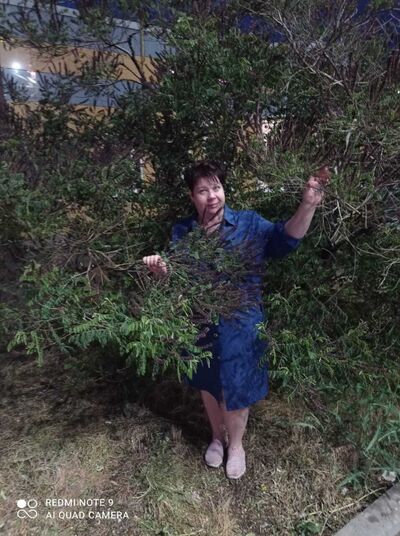   ,   , 52 ,     