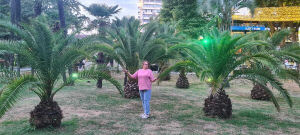  ,   , 52 ,   ,   , c , 