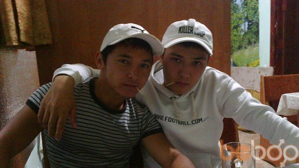  3639629  , 33 ,    -