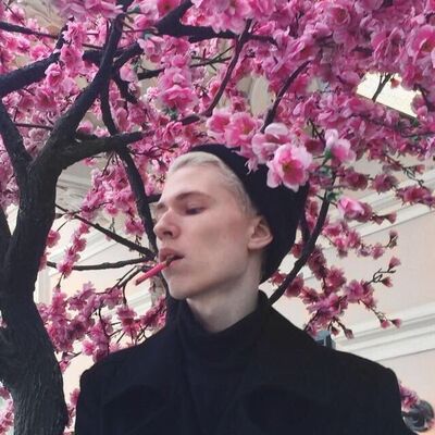  ,   , 25 ,  