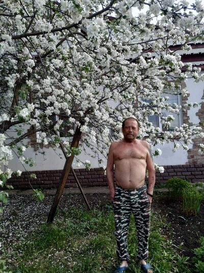  ,   , 65 ,   