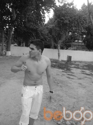  3340229  Moxito, 30 ,    