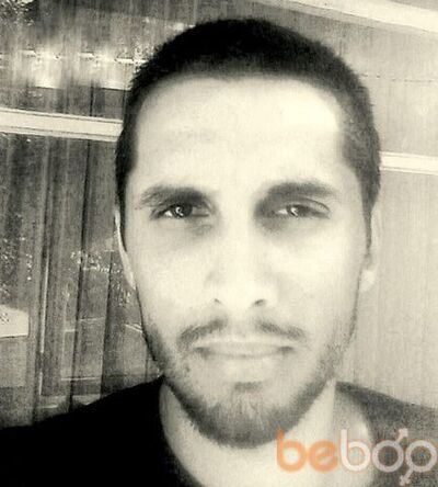  Ortakoy,   Inek, 41 ,   ,   , c 