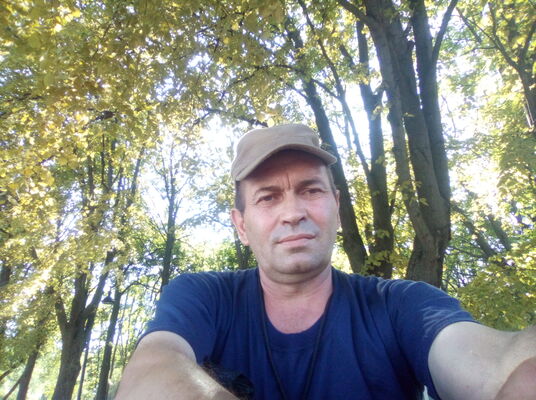  ,   , 53 ,   ,   