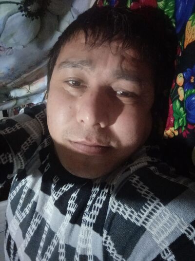  ,   Habibylla, 41 ,   ,   