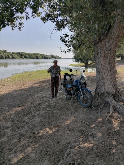  Novy,   , 71 ,   ,   
