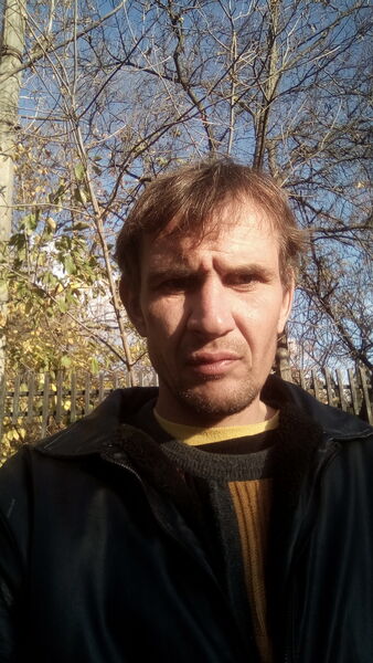  ,   , 41 ,     , c , 