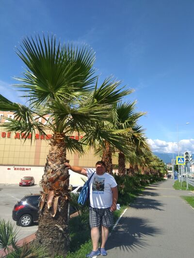  -,   , 44 ,   ,   , c 