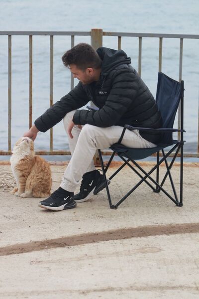  Mercin,   Falcon, 32 ,   ,   