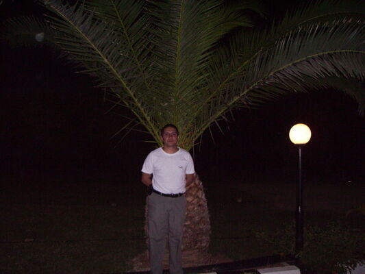  ,   arat, 51 ,   ,   