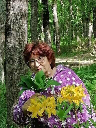  ,   , 66 ,   ,   